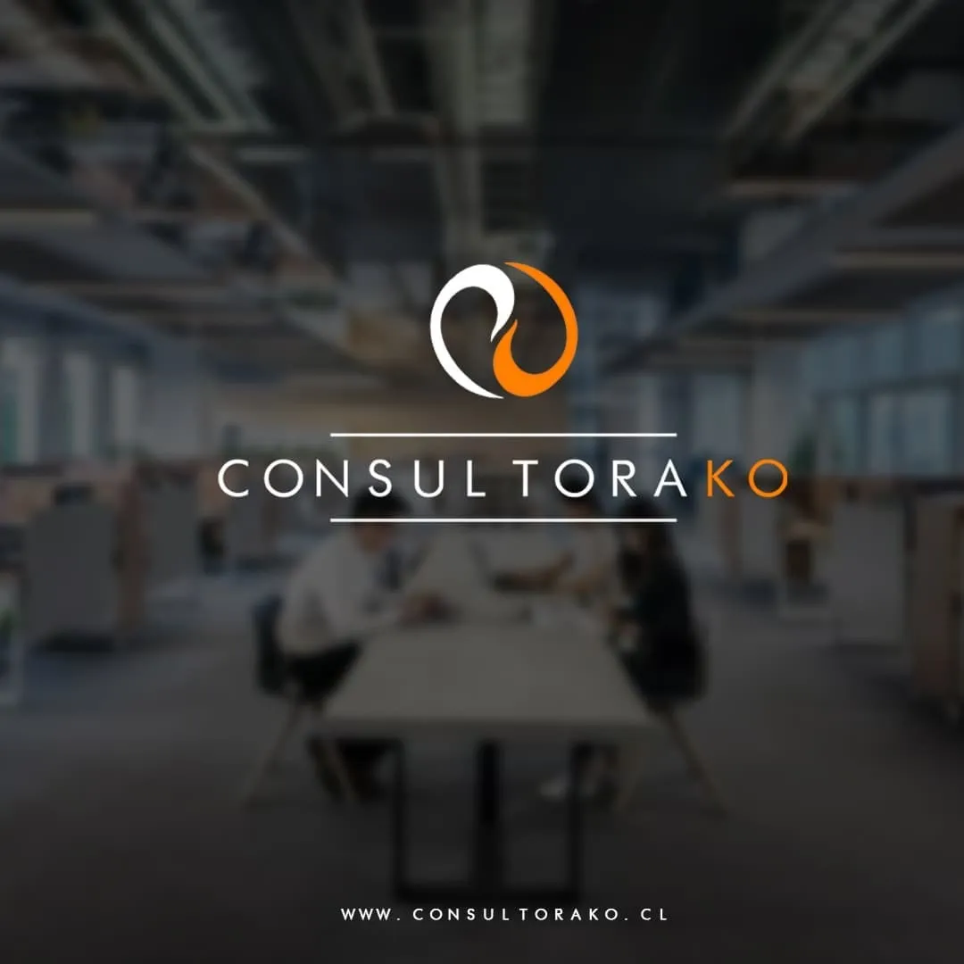 Consultora KO